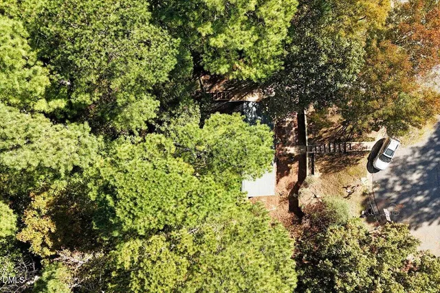 a view of a tree with a tree