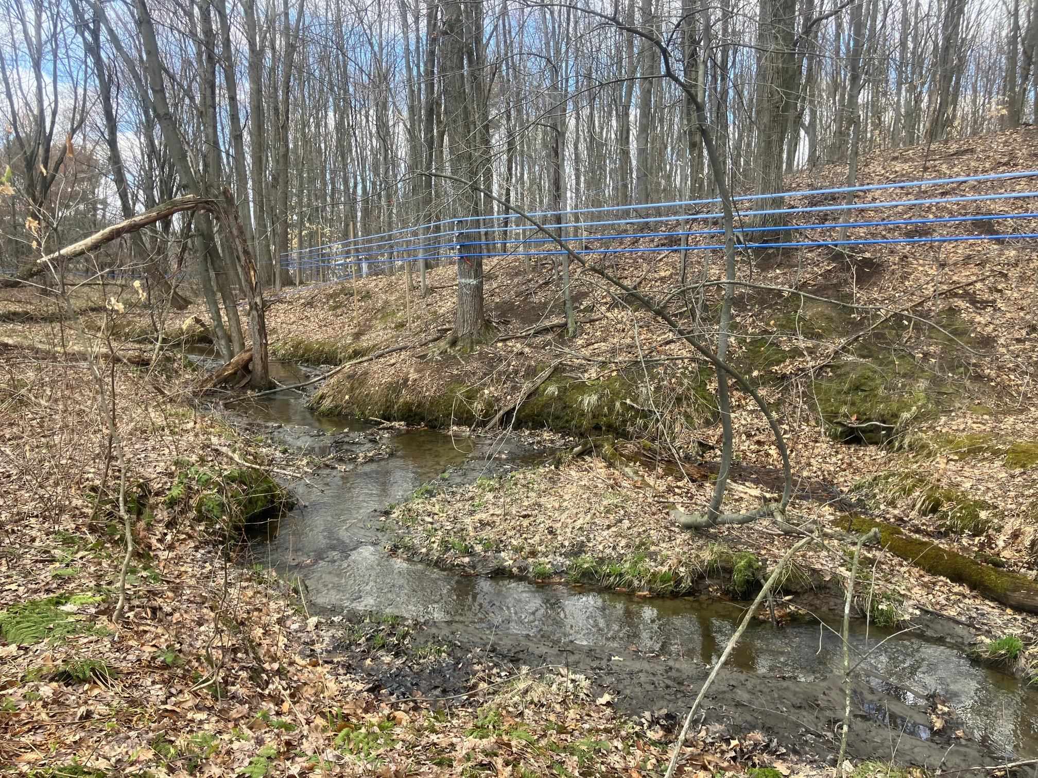 74 Jedware Circle, Unit LOT 101 Swanton, VT 05488 - Photo 13 of 17