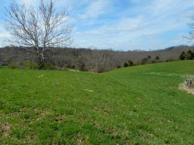 0 Park Ridge Road Ghent, KY 41045 - Photo 9 of 10 Gallery Image 9