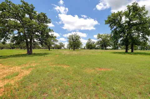 a view of yard with green space and trees