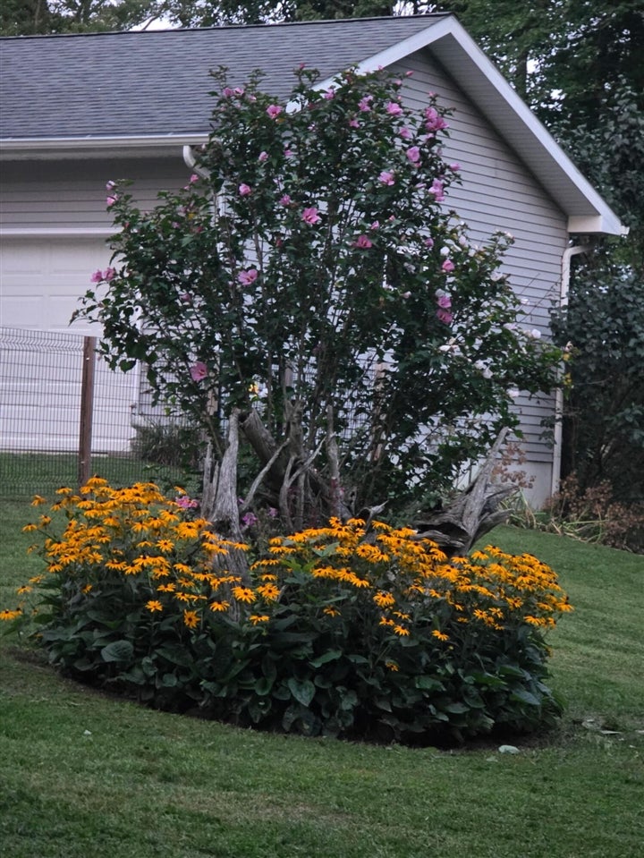 6670 Tower Lake Road Northeast Belding, MI 48809 - Photo 4 of 49 Gallery Image 4