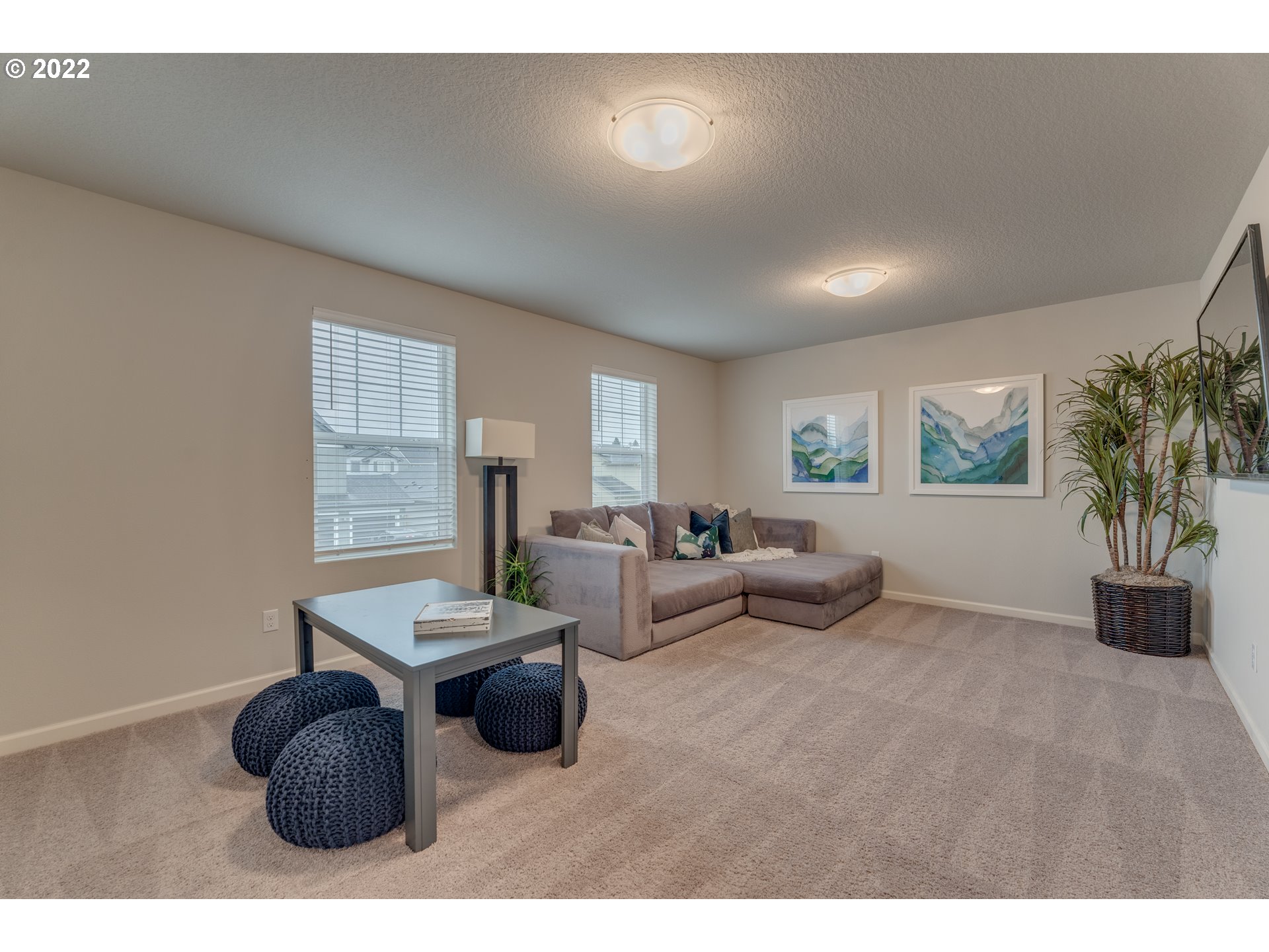 13305 Northeast 114th Way Brush Prairie, WA 98606 - Photo 16 of 31 a living room with furniture and a potted plant