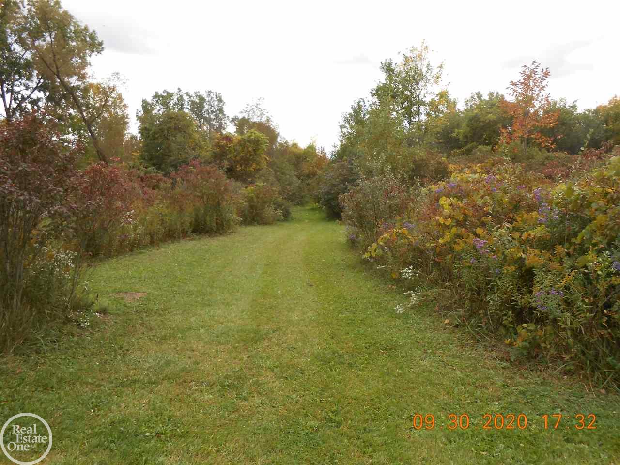 6946 Galbraith Line Road Lexington, MI 48450 - Photo 11 of 40 50025258-10.JPG