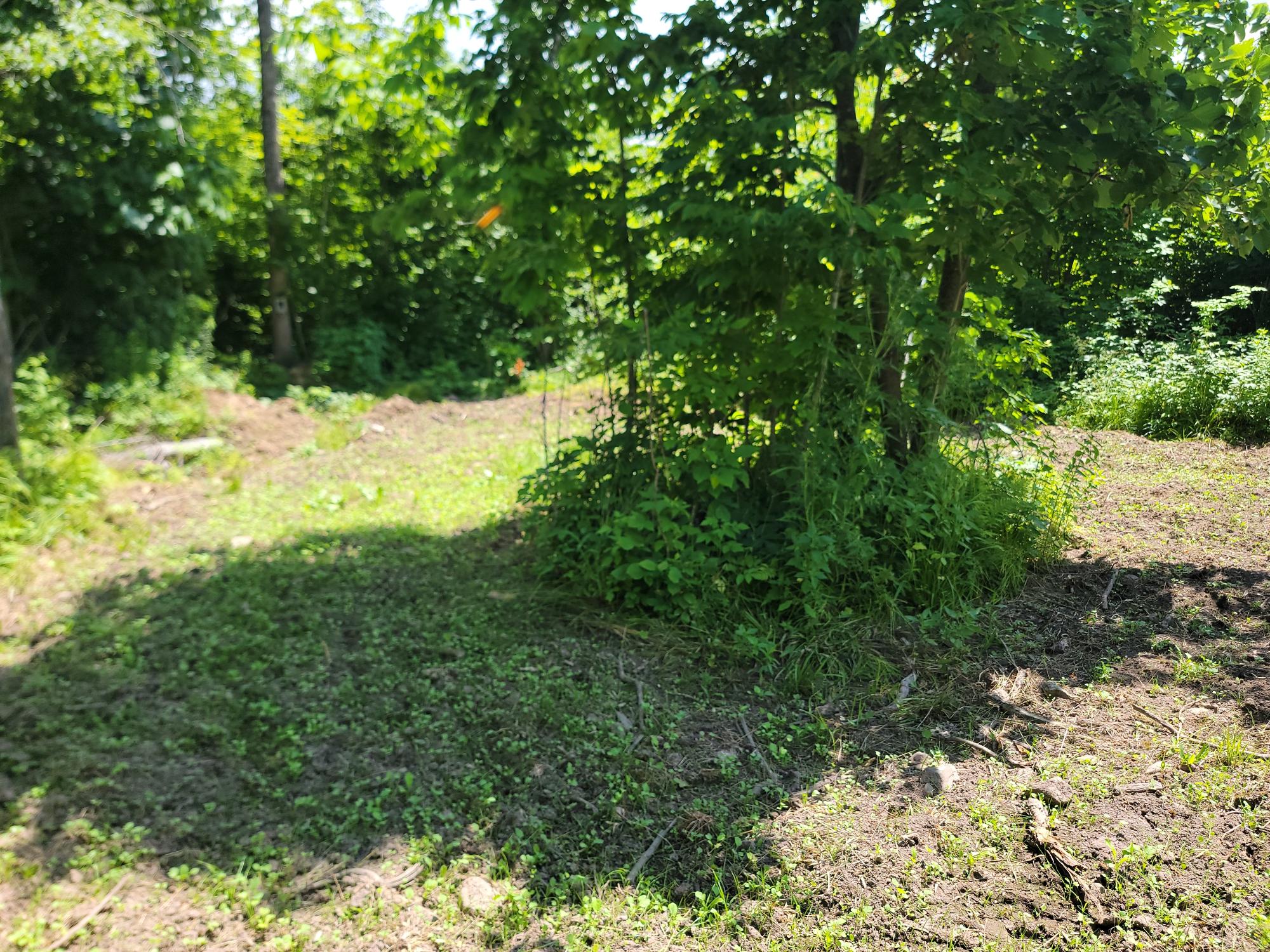 On On Cth H, Unit 80ACRES Radisson, WI 54867 - Photo 6 of 34 Gallery Image 6