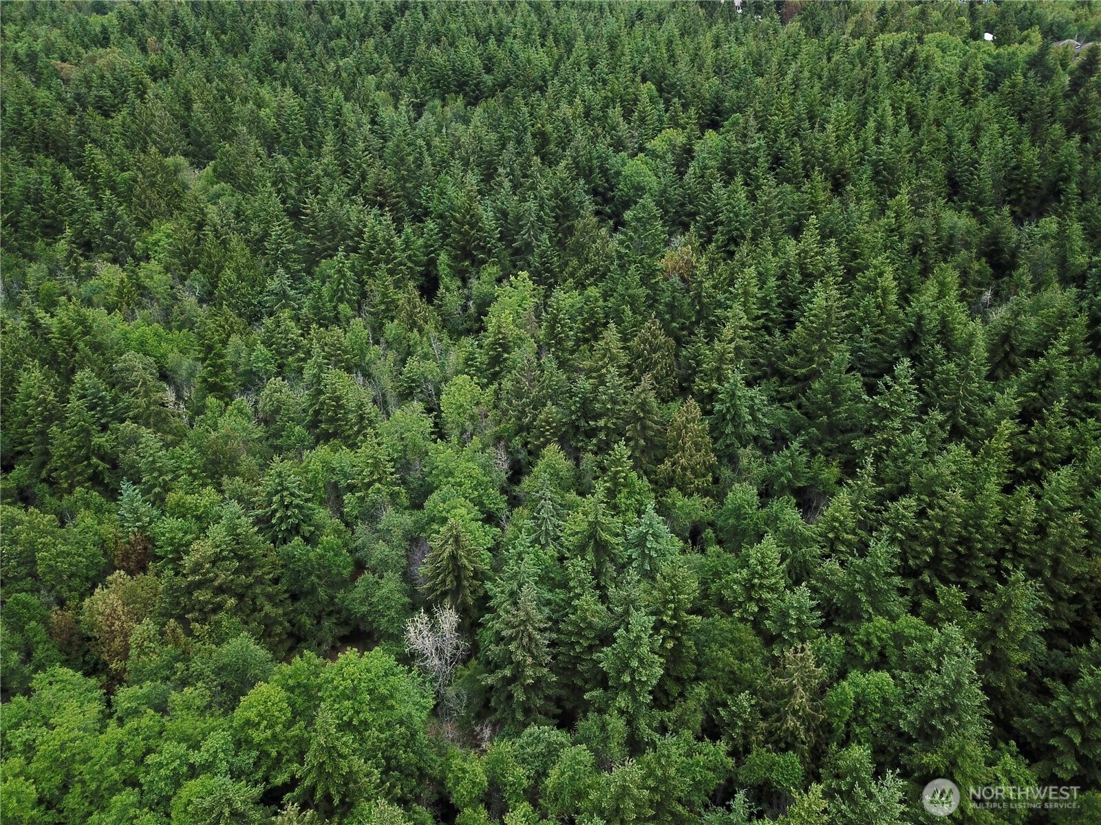 3-nka Romans Road Port Townsend, WA 98368 - Photo 6 of 7