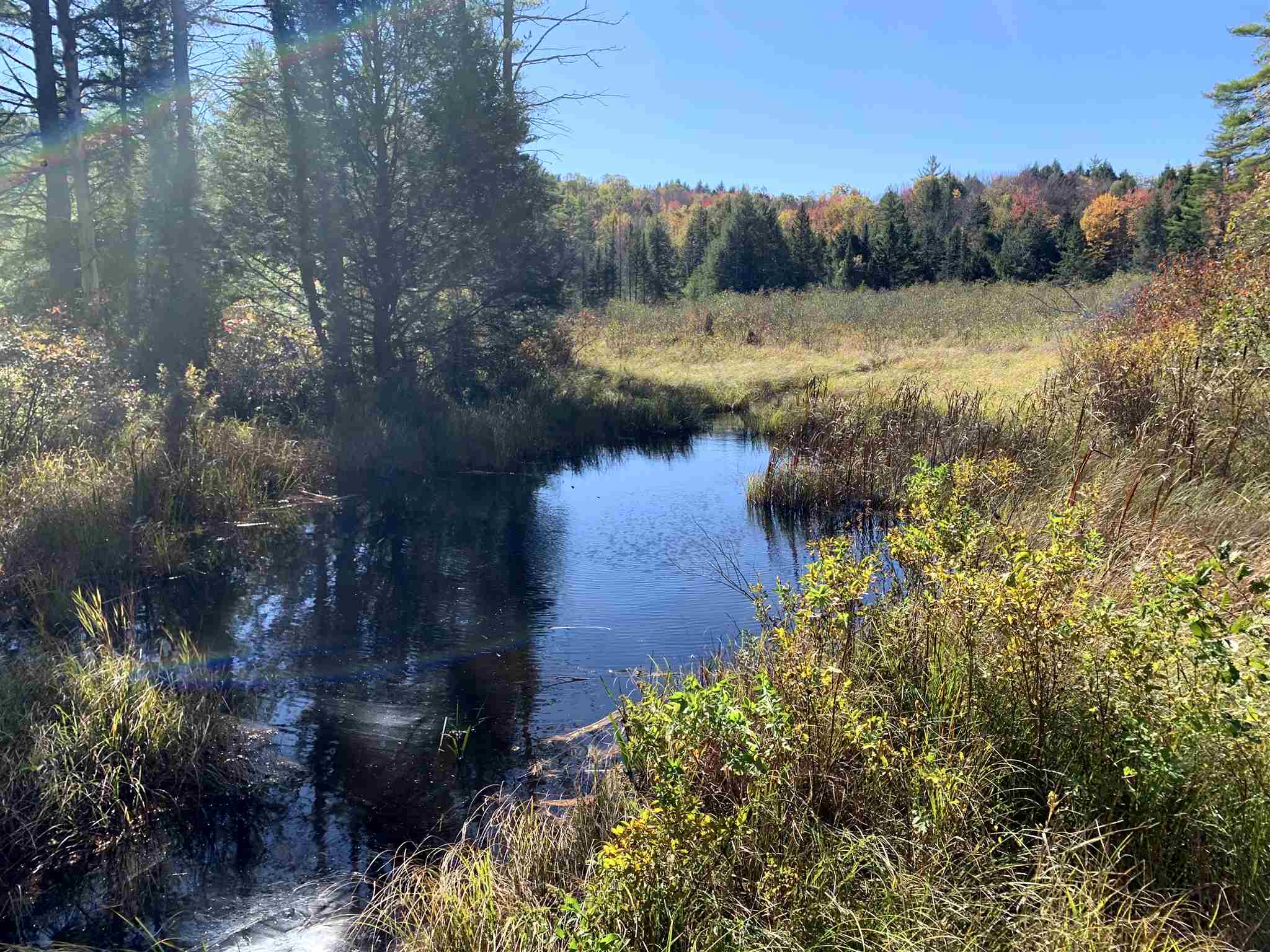 Lot 29 Ford MIll Road Danbury, NH 03230 - Photo 7 of 11 Gallery Image 7