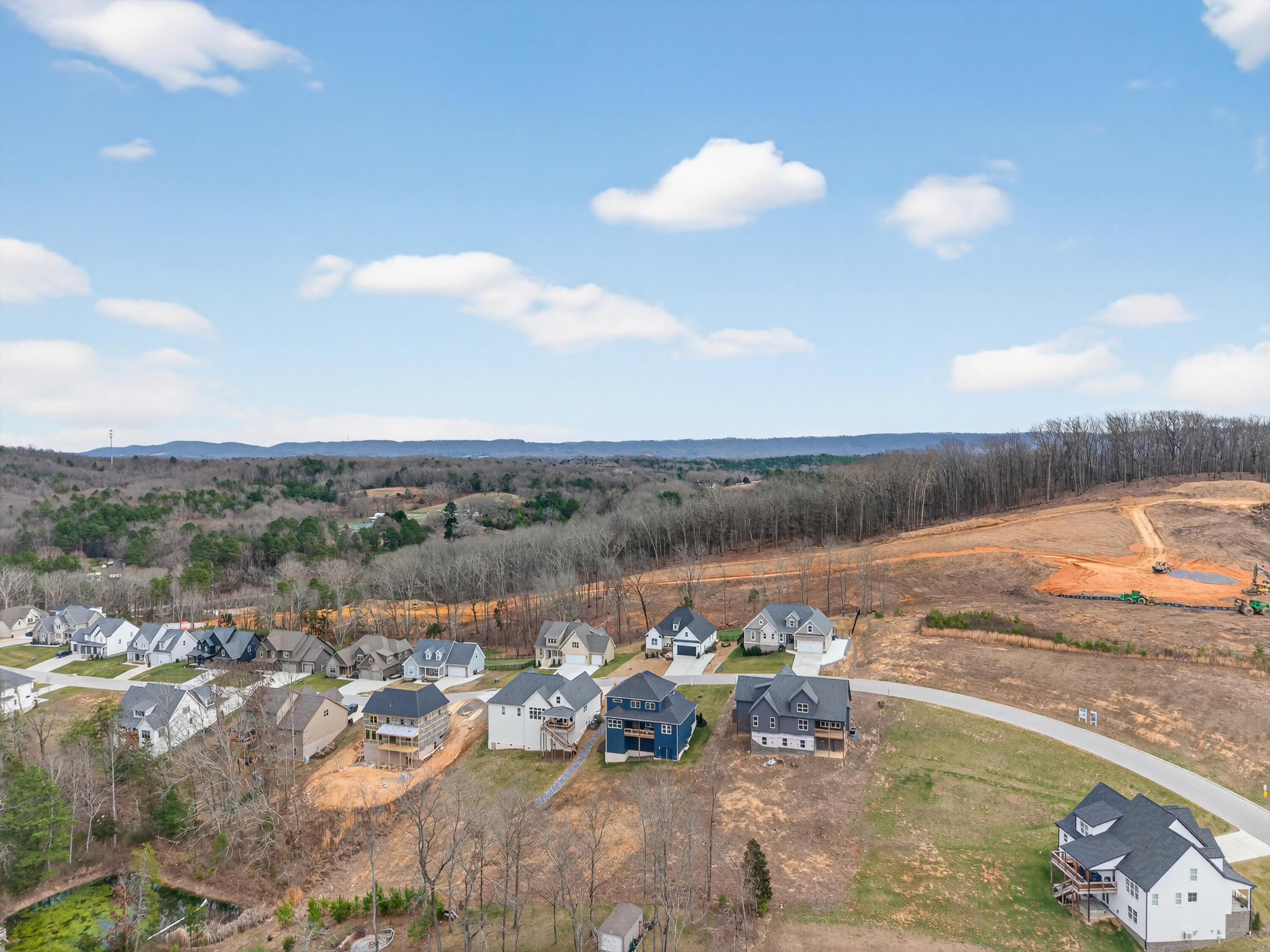 6142 Cashmere Lane Harrison, TN 37341 - Photo 48 of 52 49-049_DJI_20260224135141_0106_D