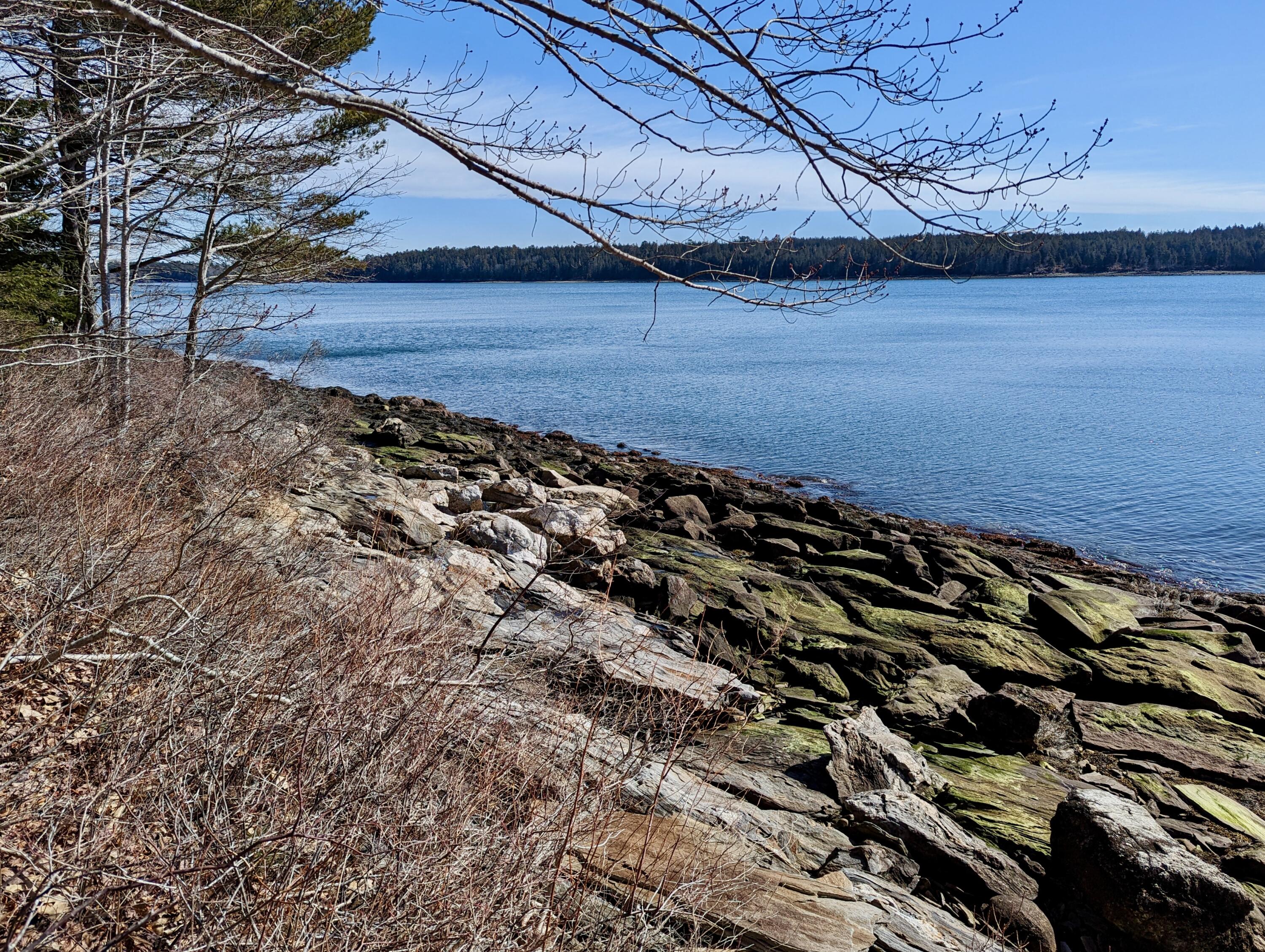 Lot 2 Churches Point Road Round Pond, ME 04564 - Photo 14 of 23 PXL_20230327_140928013