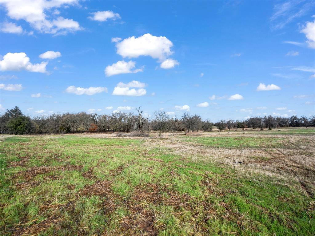 108 Rona Street Weatherford, TX 76088 - Photo 3 of 22