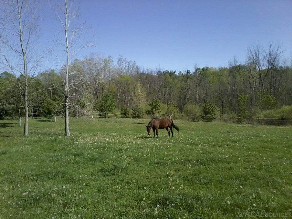 6300 Aitken Road Croswell, MI 48422 - Photo 17 of 53