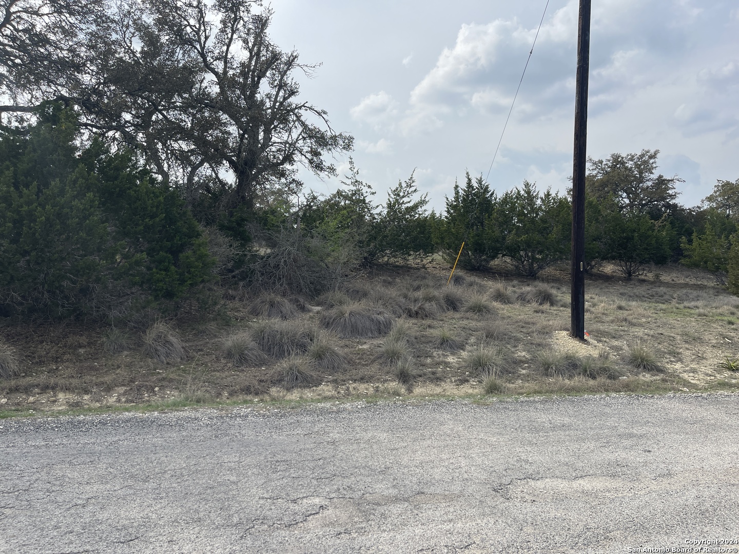 113 William Wds Blanco, TX 78606 - Photo 2 of 12