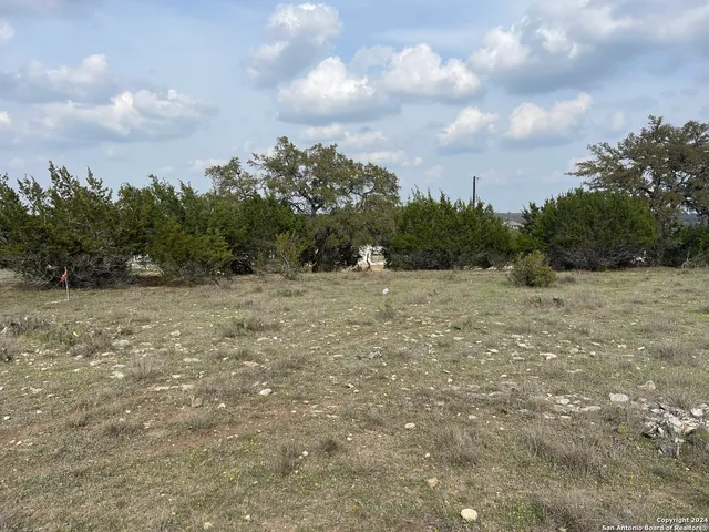 $59,500 | 113 William Wds, Blanco, TX 78606