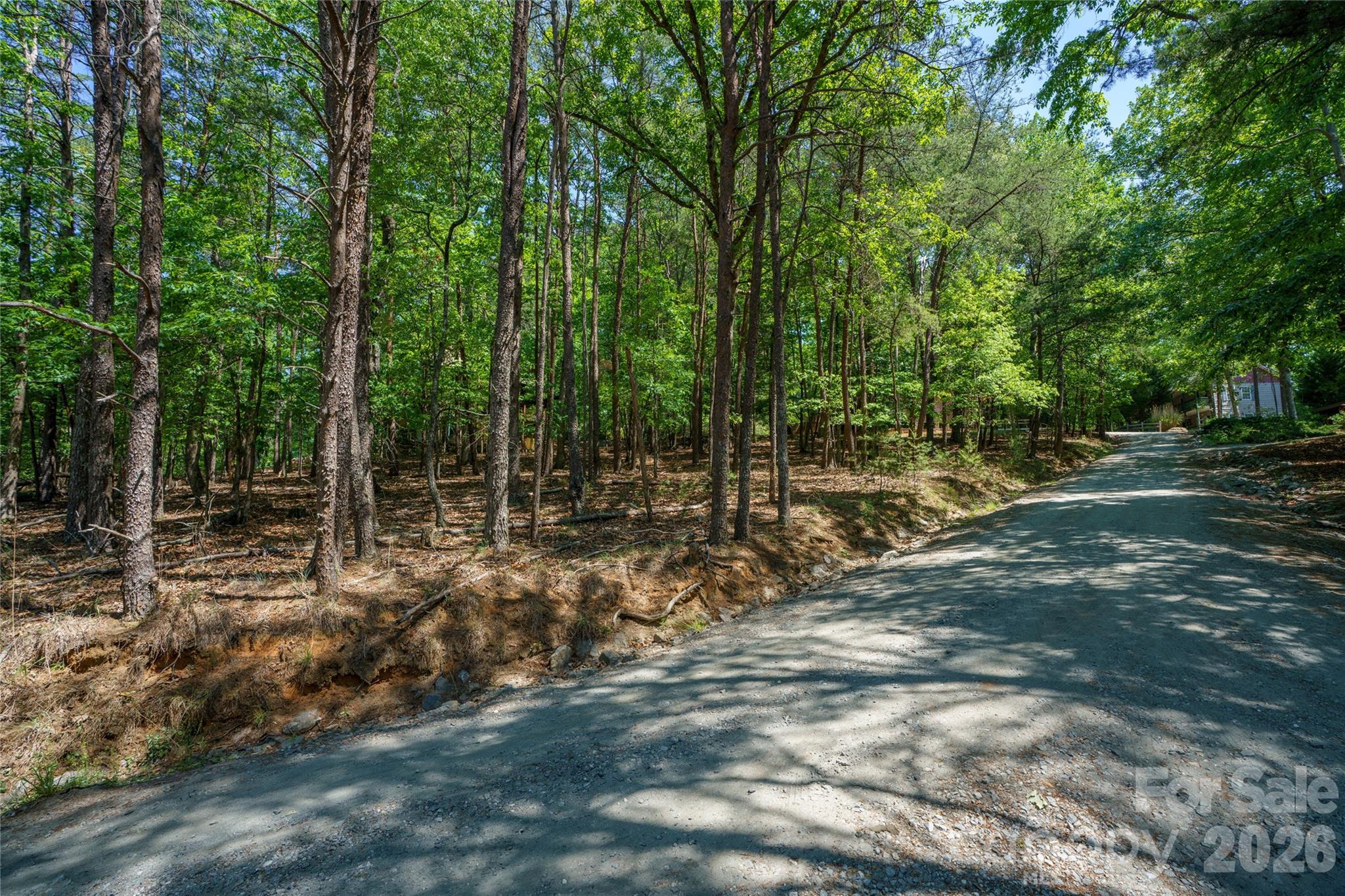 0 View Trail Lake Lure, NC 28746 - Photo 4 of 11 a view of forest