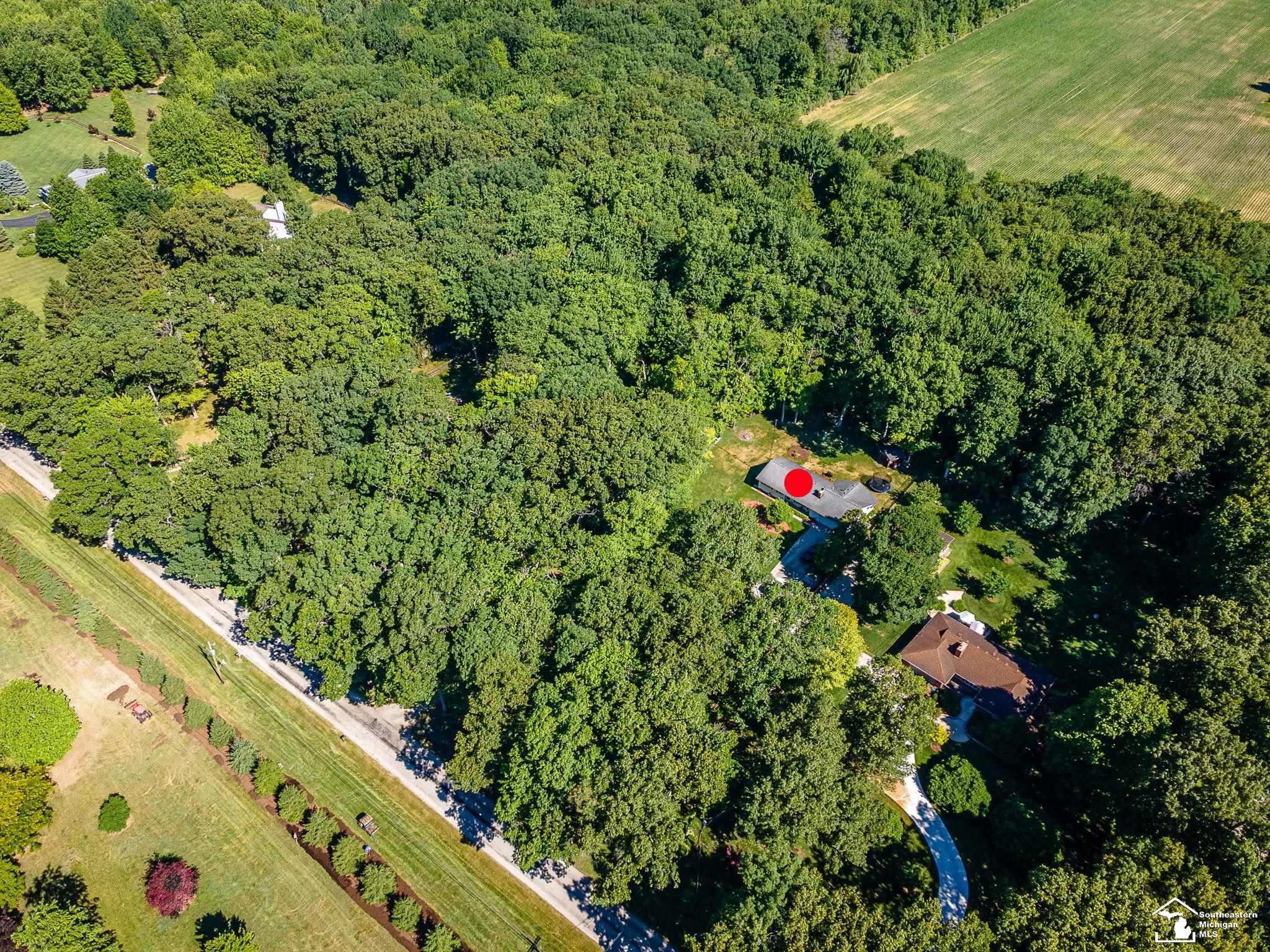 4496 School Road Temperance, MI 48182 - Photo 44 of 48