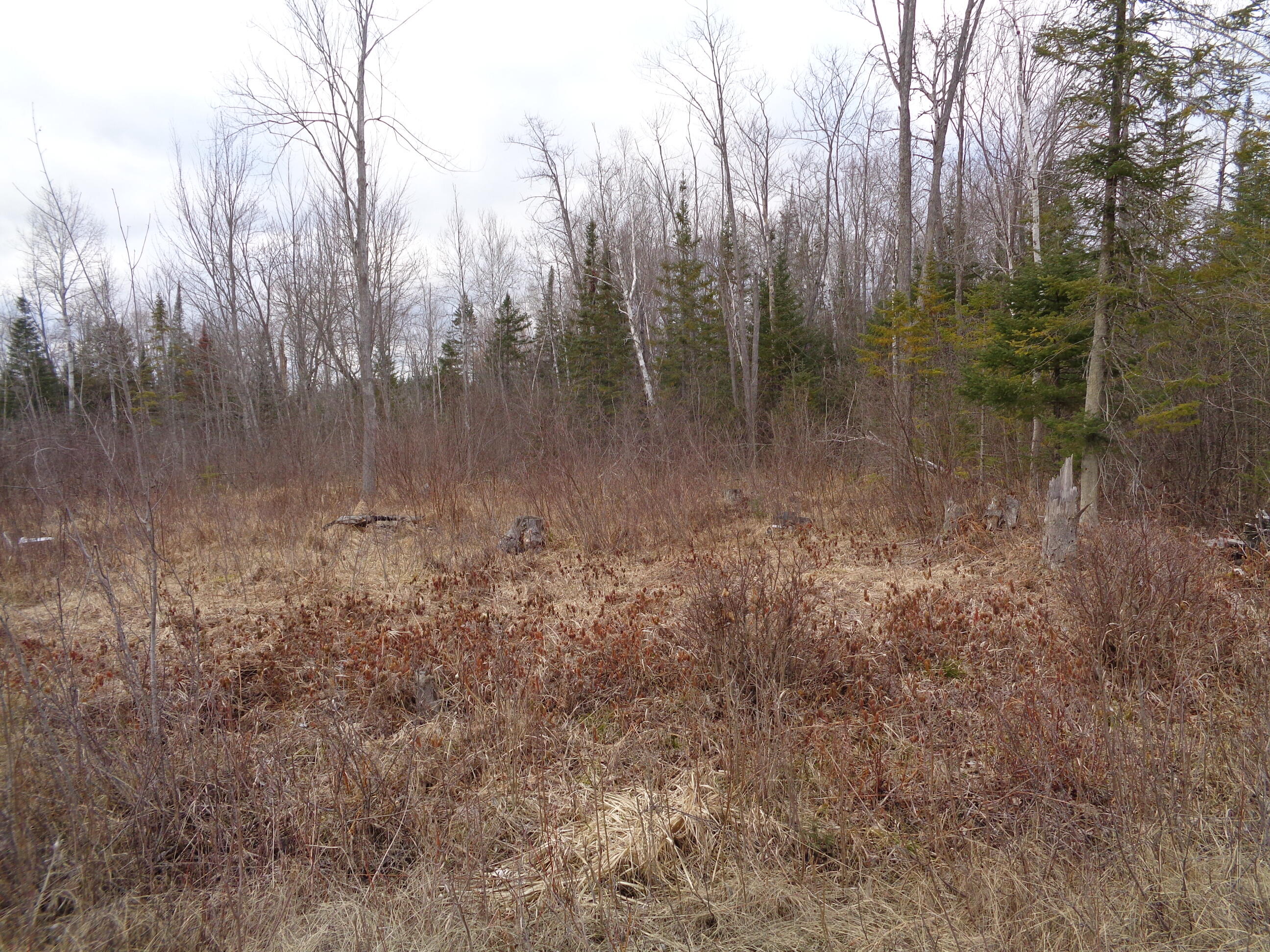 128 Custer Road Alpena, MI 49707 - Photo 6 of 9 Gallery Image 6
