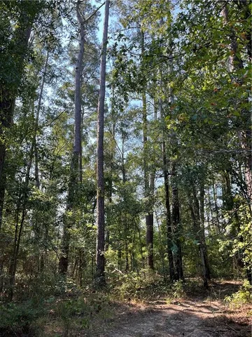 $75,000 | 0 La 1045 Highway, Amite, LA 70422