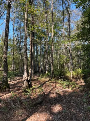 $75,000 | 0 La 1045 Highway, Amite, LA 70422