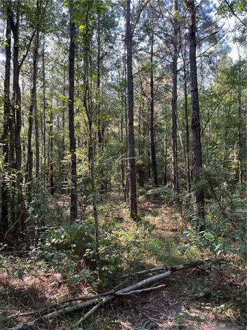 $75,000 | 0 La 1045 Highway, Amite, LA 70422