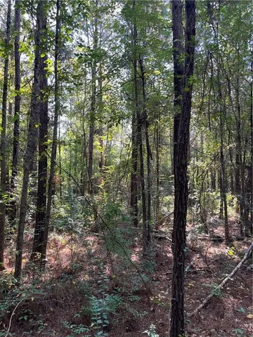 $75,000 | 0 La 1045 Highway, Amite, LA 70422