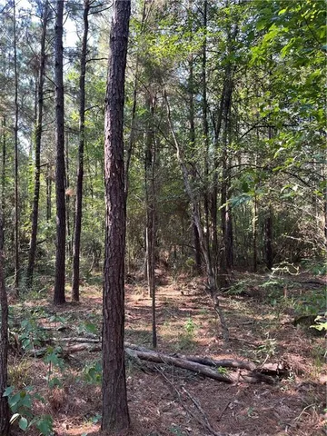 $75,000 | 0 La 1045 Highway, Amite, LA 70422