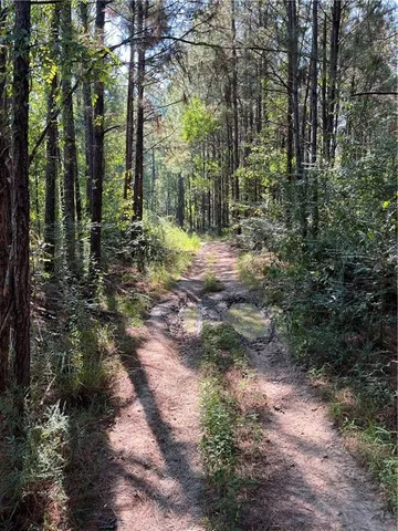 $75,000 | 0 La 1045 Highway, Amite, LA 70422