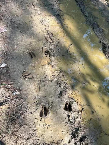 $75,000 | 0 La 1045 Highway, Amite, LA 70422