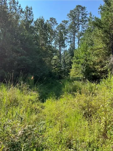 $75,000 | 0 La 1045 Highway, Amite, LA 70422