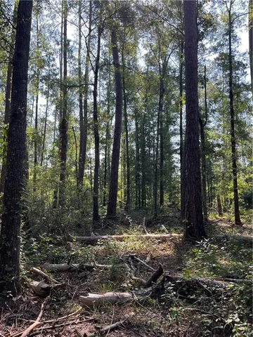 $75,000 | 0 La 1045 Highway, Amite, LA 70422