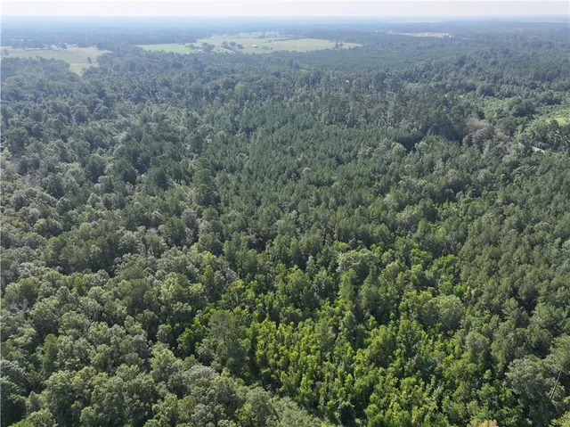 $75,000 | 0 La 1045 Highway, Amite, LA 70422