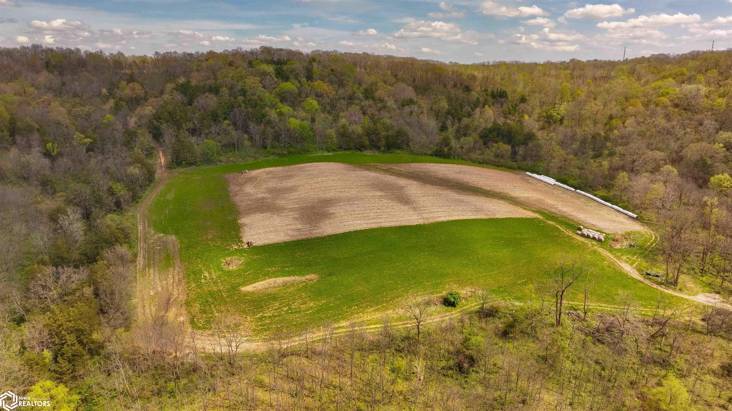 38346 Cherry Valley Road Guttenberg, IA 52052 - Photo 3 of 75 Gallery Image 3