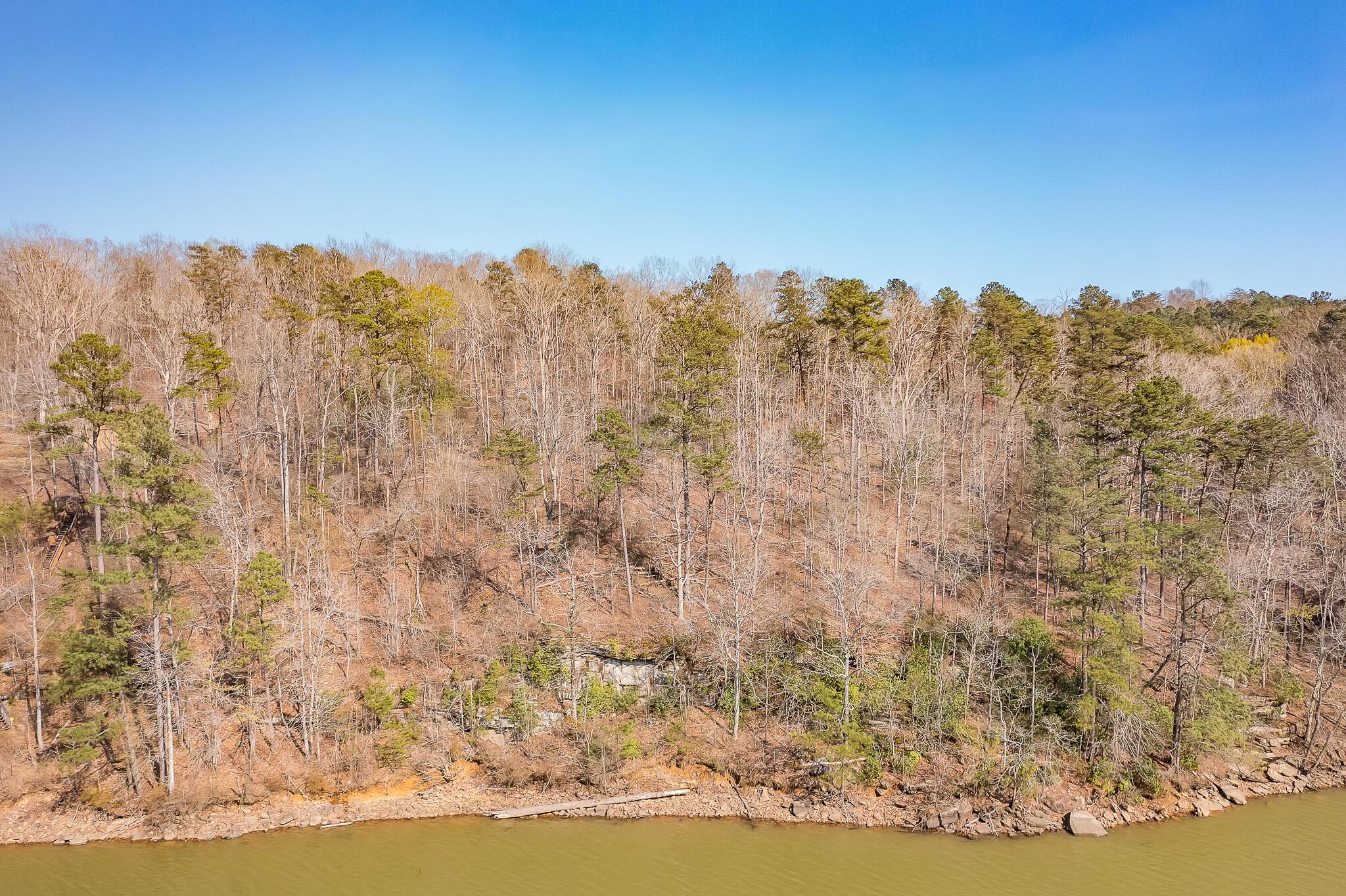 Lot 4 Poplar Ridge Cordova, AL 35550 - Photo 2 of 10 Gallery Image 2
