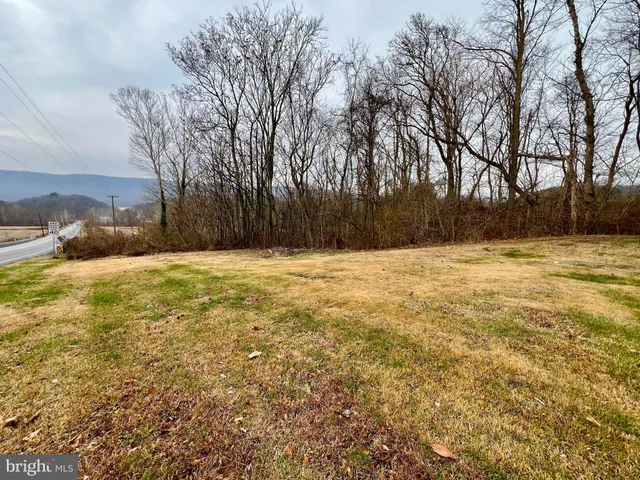 a view of yard with trees