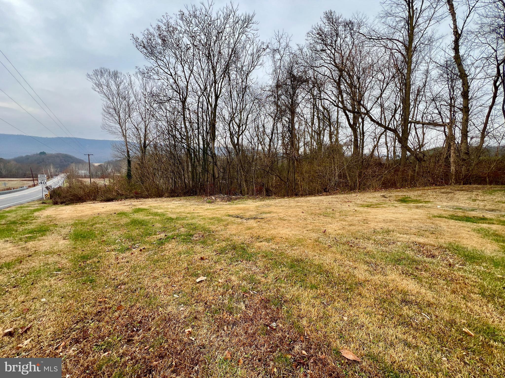 1722 Saxton Road Saxton, PA 16678 - Photo 6 of 24 a view of yard with trees