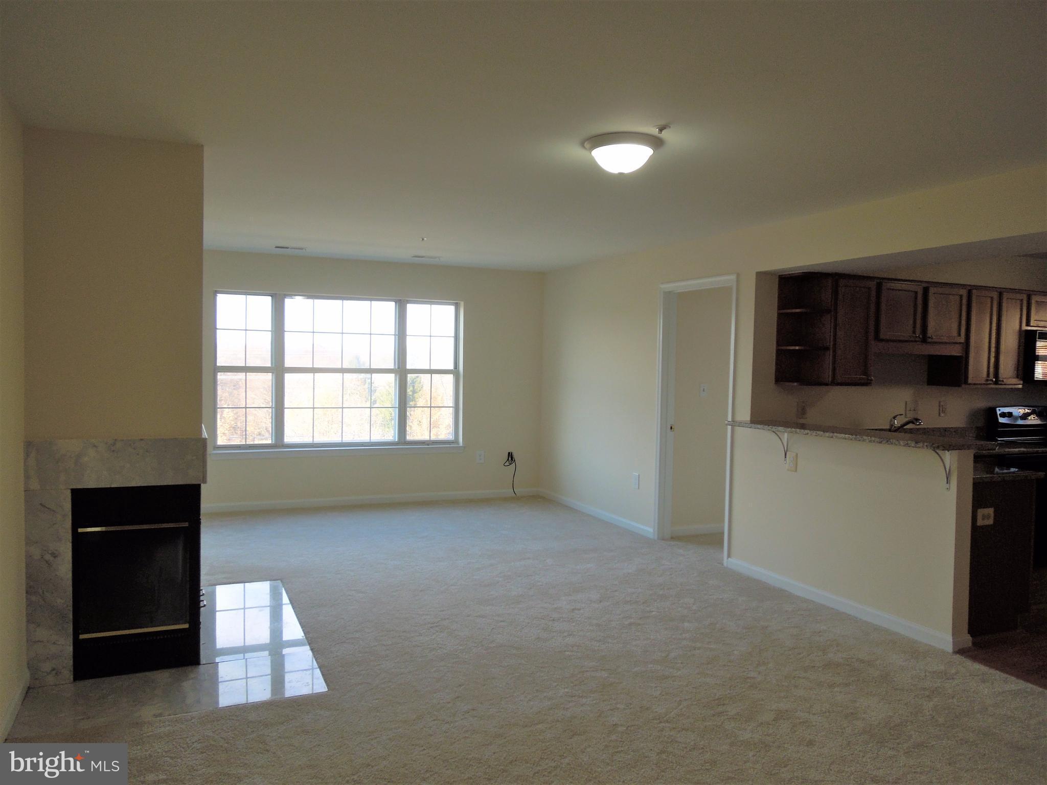 304 Ridgepoint Place, Unit 14 Gaithersburg, MD 20878 - Photo 9 of 25 Living Room