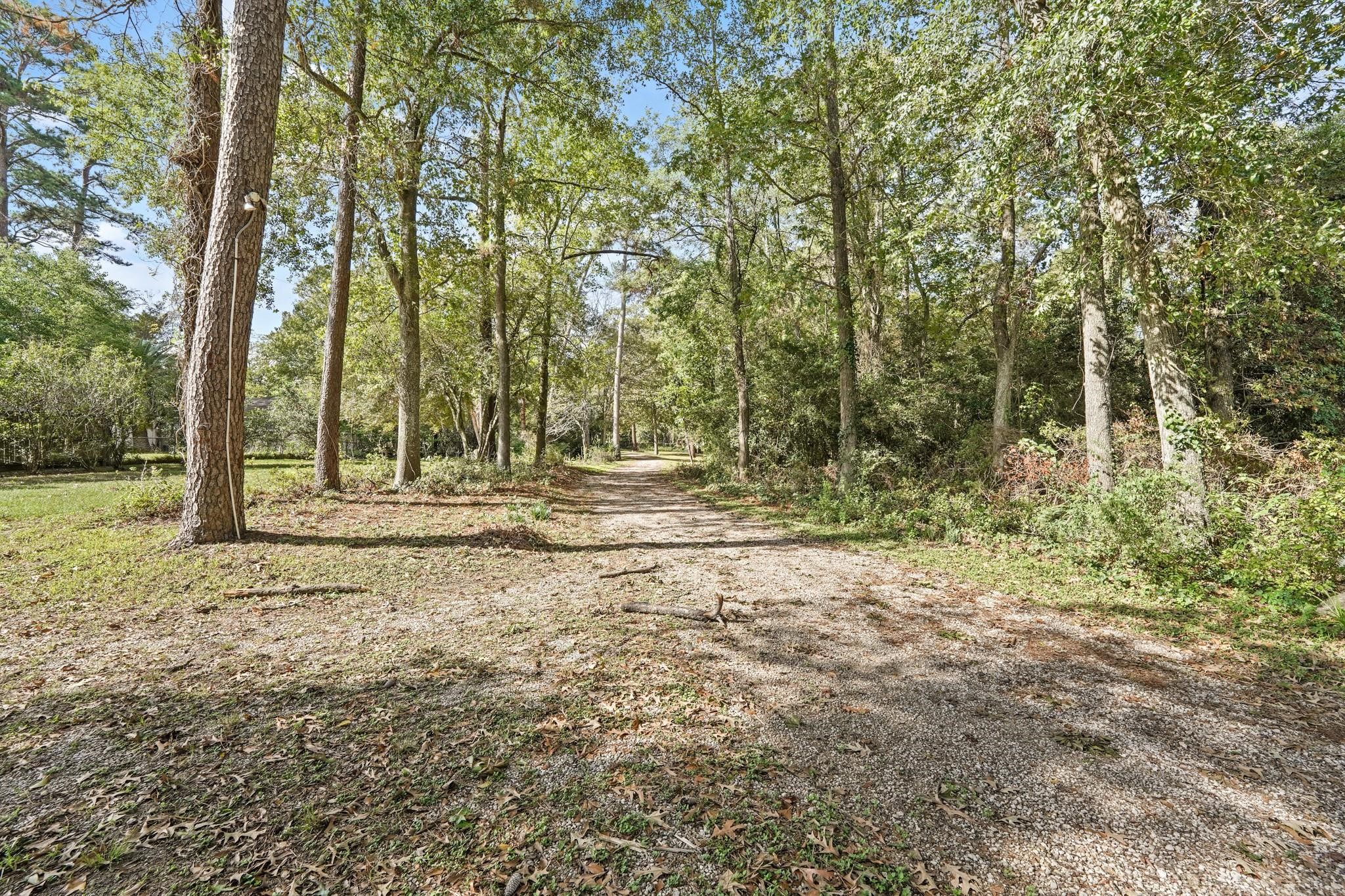 19410 Nehoc Lane Houston, TX 77346 - Photo 11 of 26 a fire hydrant in the middle of a field