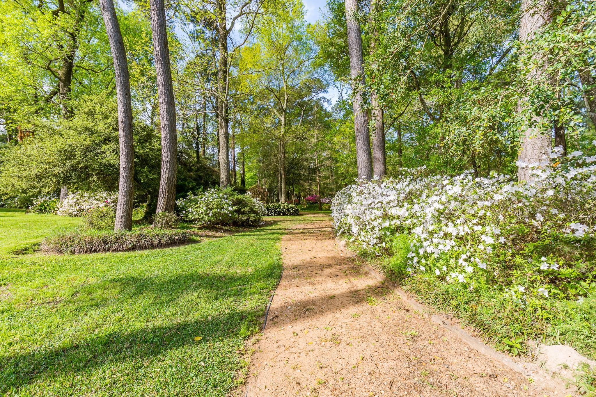 19410 Nehoc Lane Houston, TX 77346 - Photo 12 of 26 a view of a yard with plants and trees
