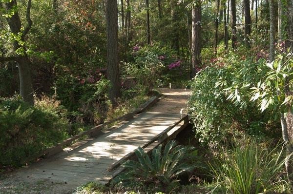 19410 Nehoc Lane Houston, TX 77346 - Photo 21 of 26 a backyard of a house with lots of green space