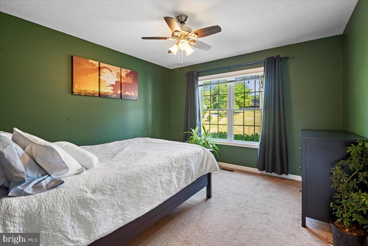 584 Pine Ridge Drive Front Royal, VA 22630 - Photo 19 of 36 Custom painted spacious bedroom