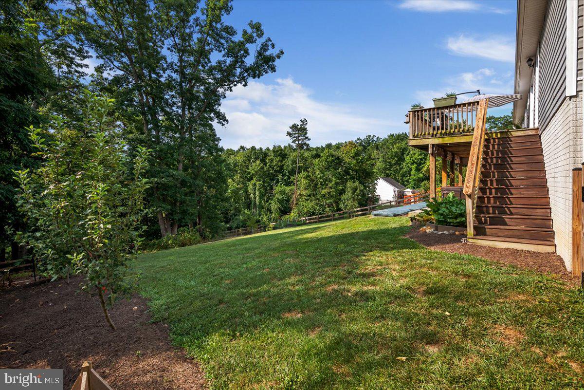 584 Pine Ridge Drive Front Royal, VA 22630 - Photo 32 of 36 Spacious fenced backyard with view.