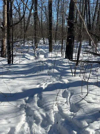 Reppert Road, Exeland, WI 54835