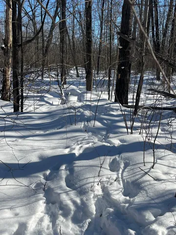 $44,900 | Reppert Road, Exeland, WI 54835