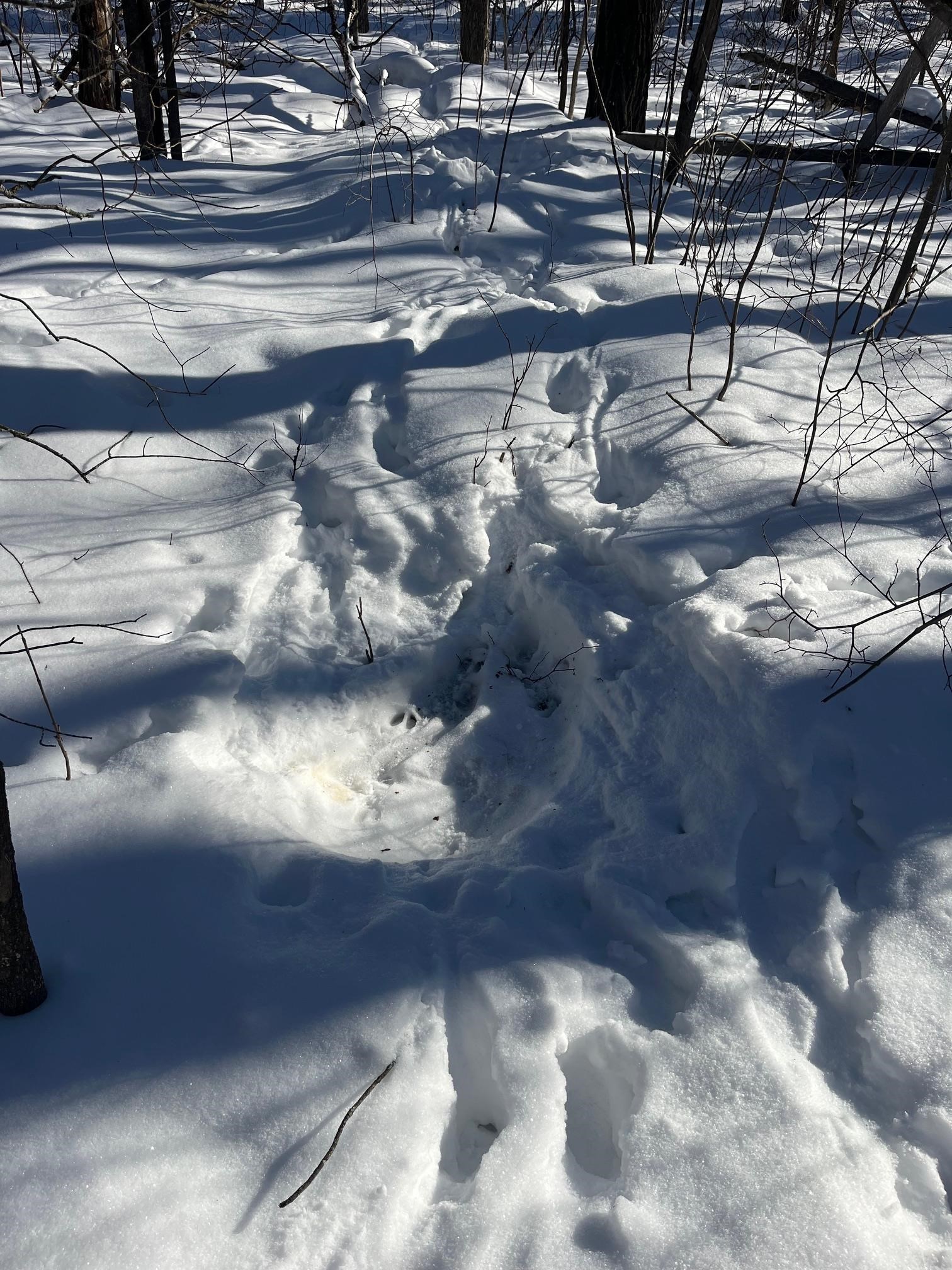 Reppert Road Exeland, WI 54835 - Photo 2 of 5