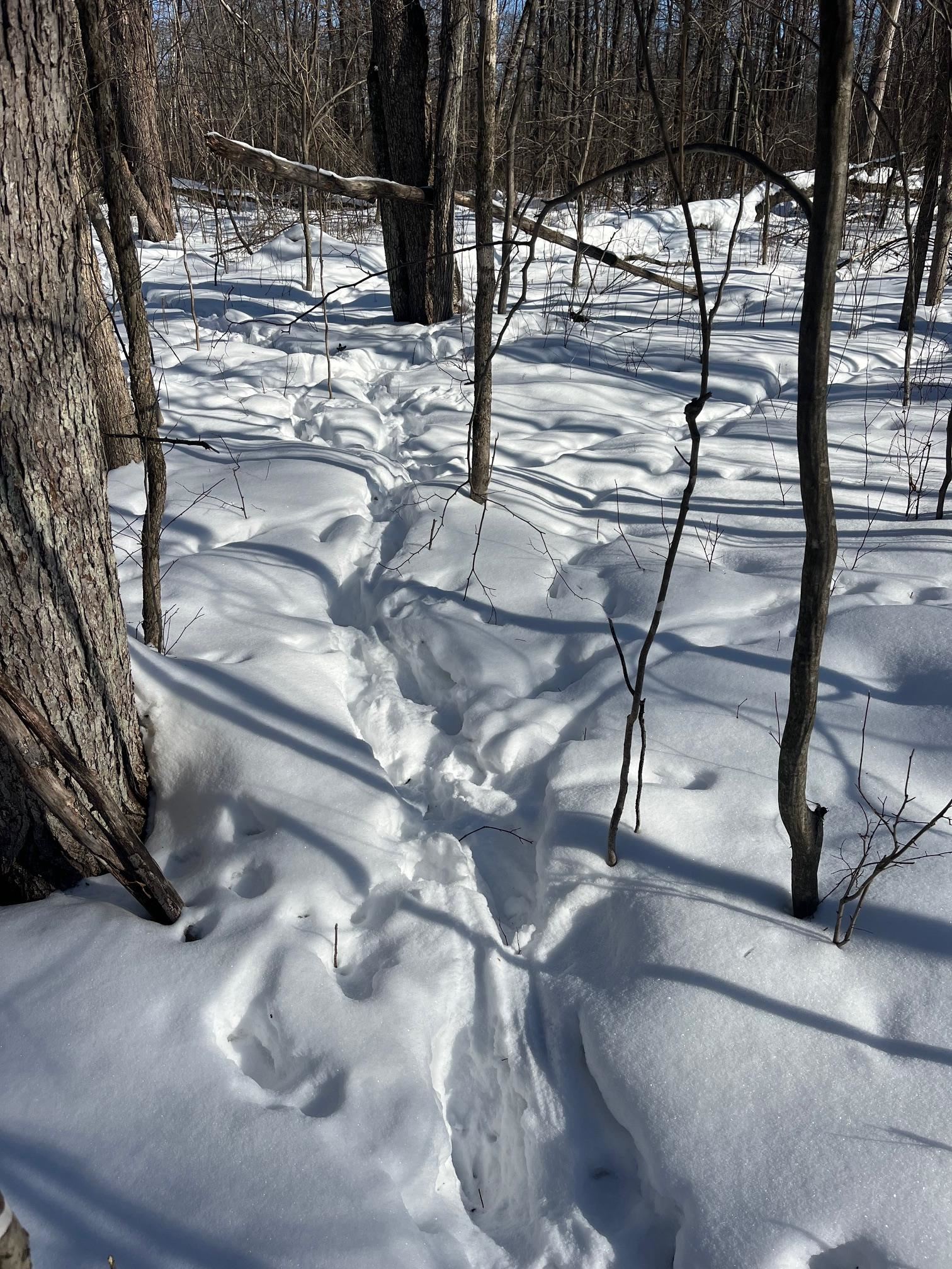 Reppert Road Exeland, WI 54835 - Photo 3 of 5