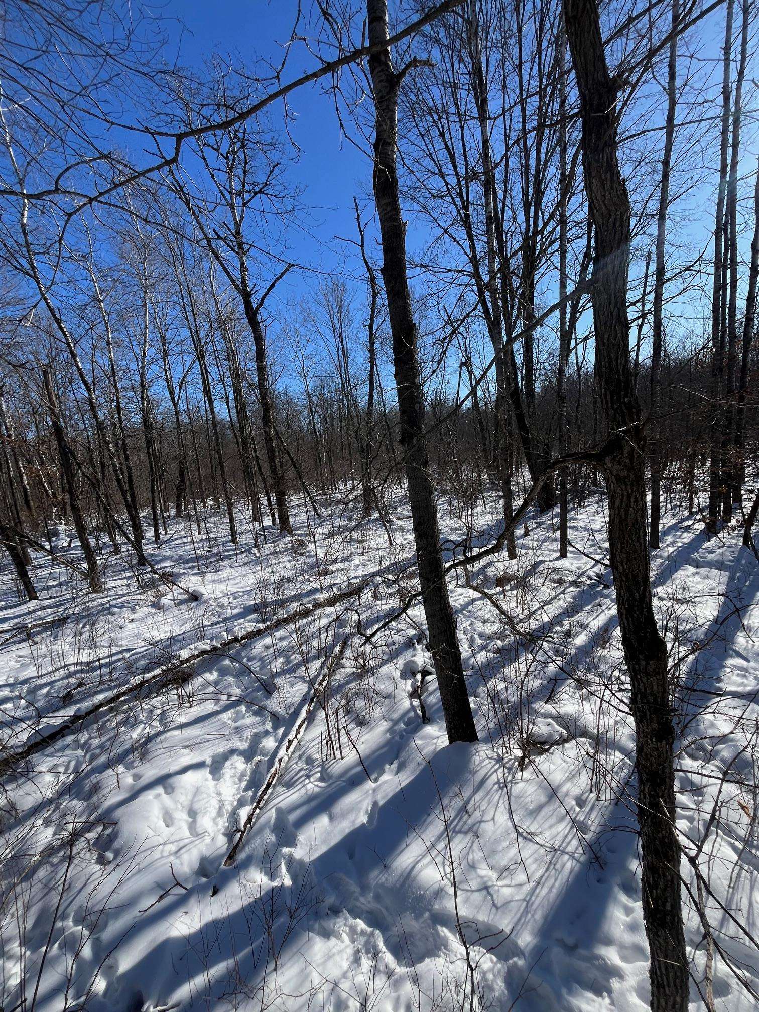 Reppert Road Exeland, WI 54835 - Photo 4 of 5