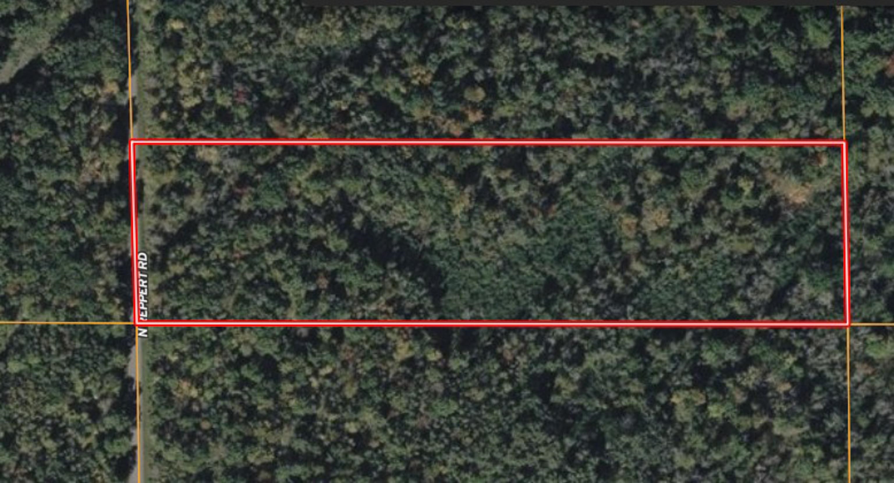 Reppert Road Exeland, WI 54835 - Photo 5 of 5