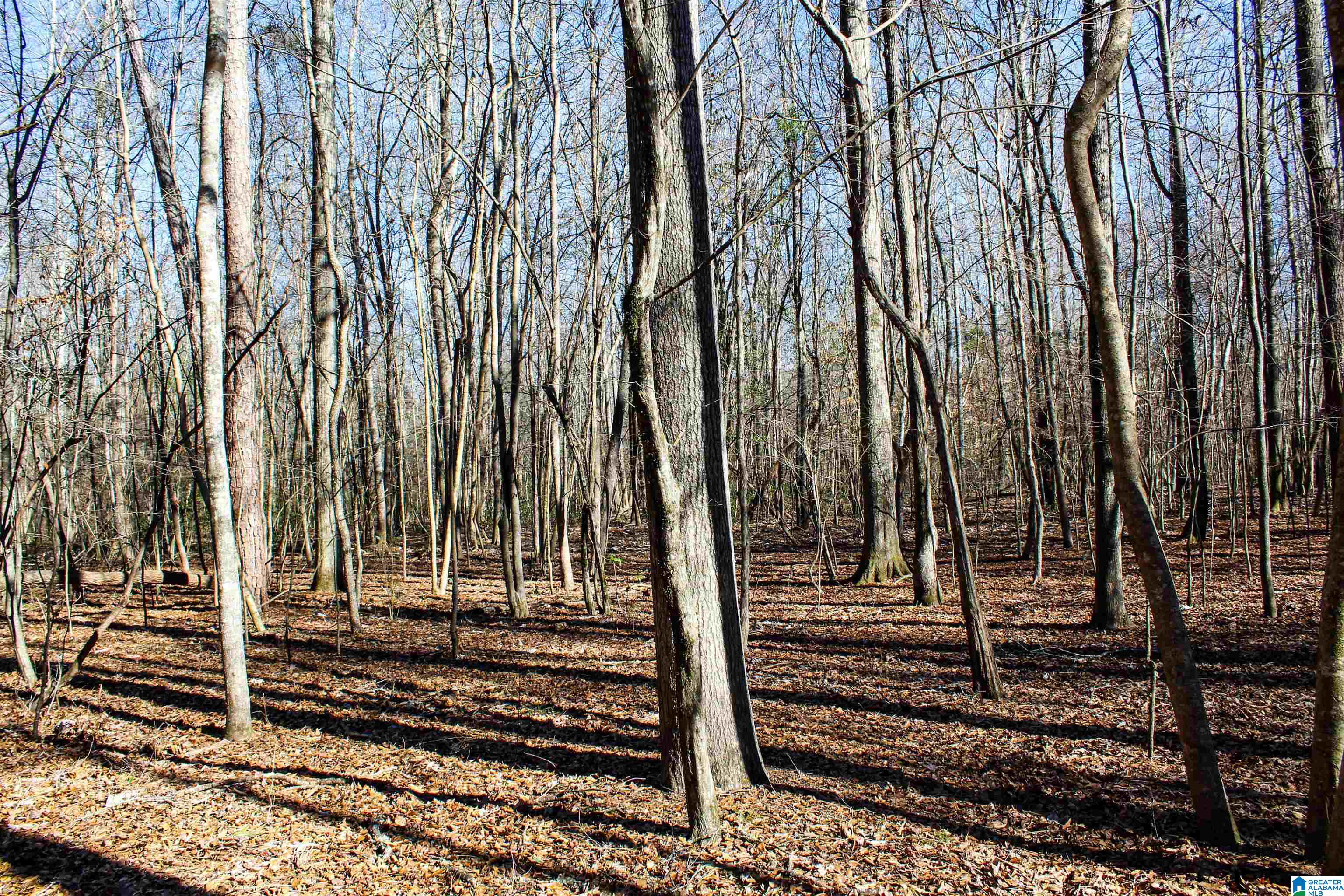 339 County Road Nauvoo, AL 35578 - Photo 30 of 57