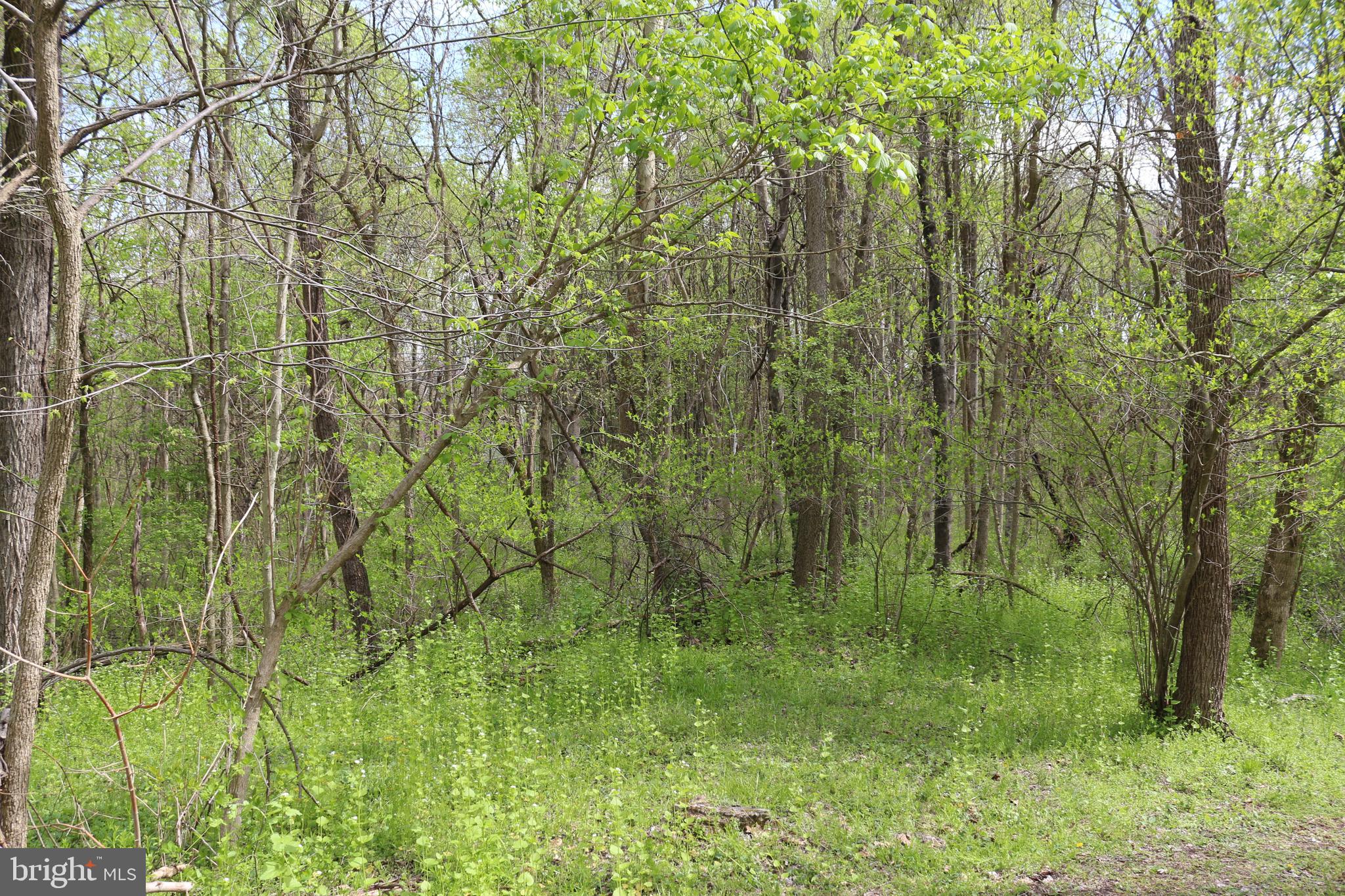 Sprecher Road Sharpsburg, MD 21782 - Photo 3 of 4 Gallery Image 3