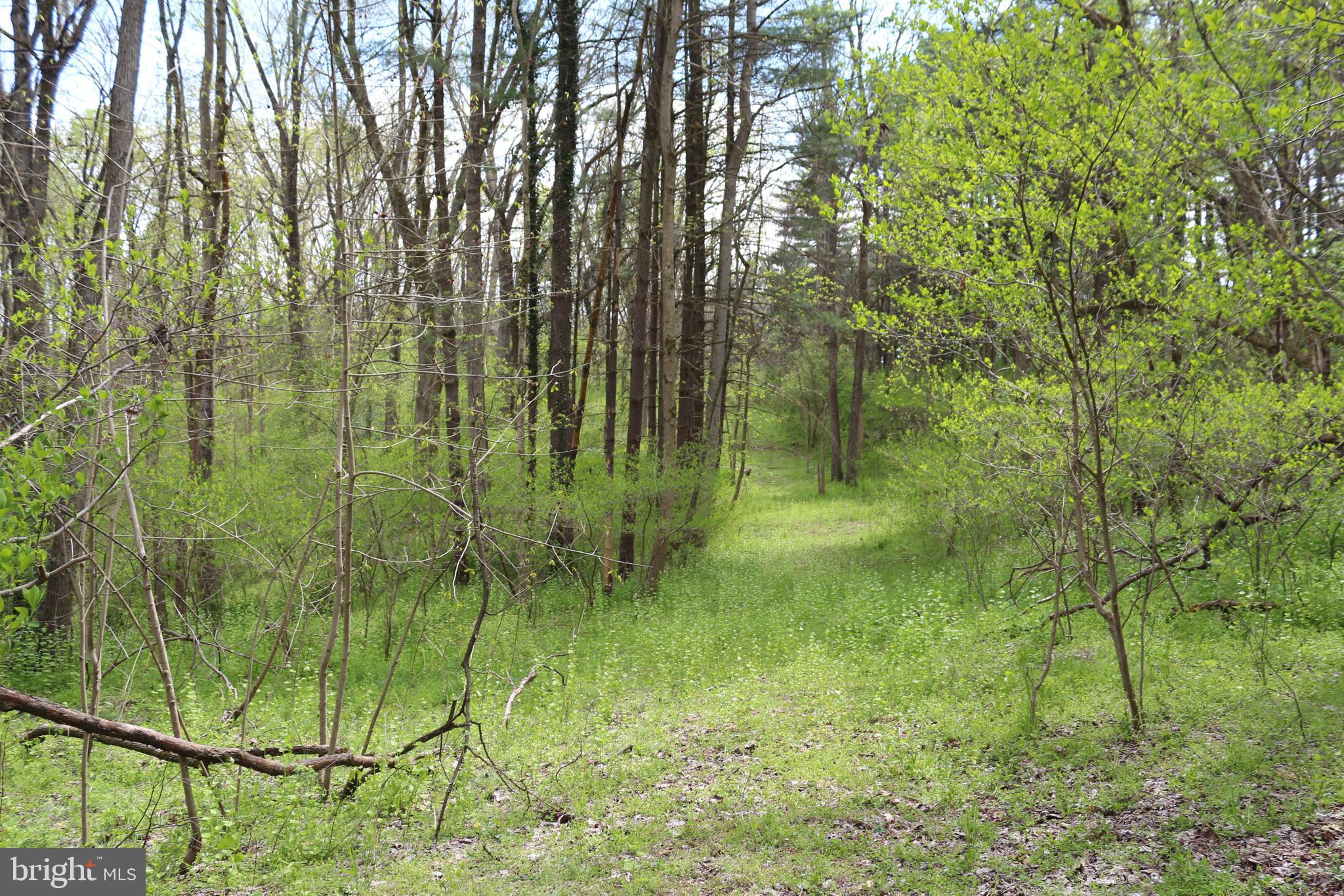 Sprecher Road Sharpsburg, MD 21782 - Photo 4 of 4 Gallery Image 4