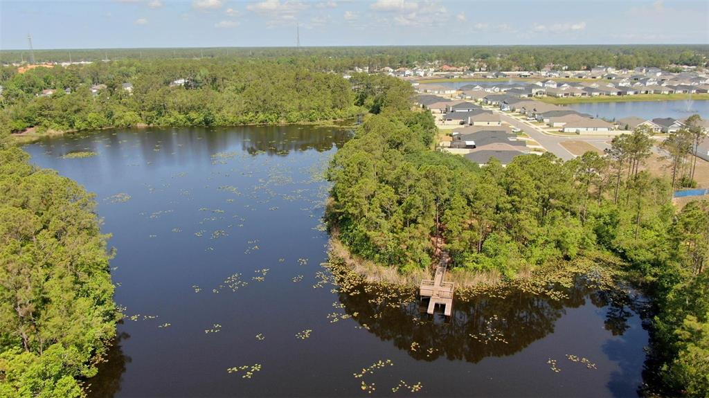 20 Willow Place Palm Coast, FL 32164 - Photo 57 of 61