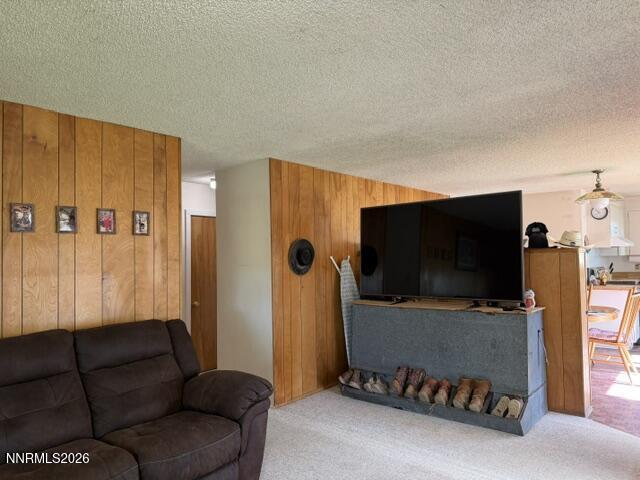 61 Rivers Road Smith, NV 89430 - Photo 26 of 57 a living room with furniture and a flat screen tv